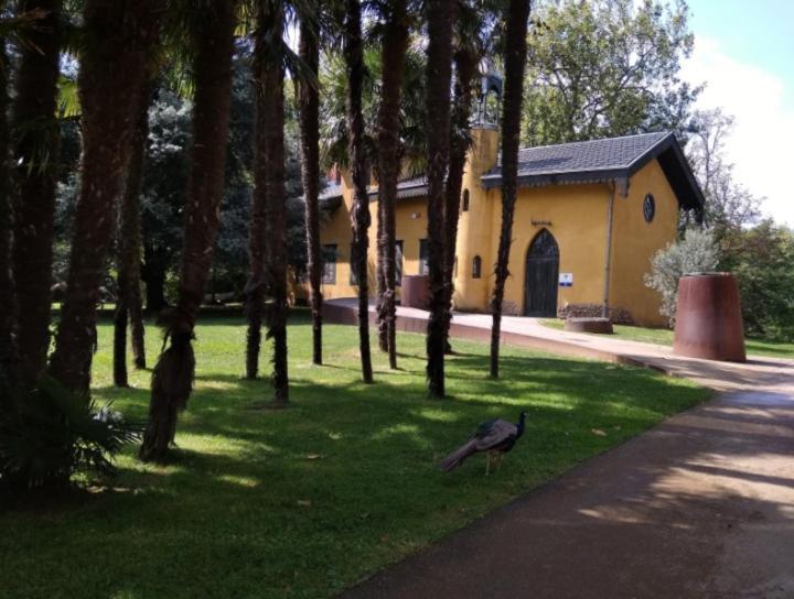 Big 4 Rooms In A Centric Home Parking Included San Sebastian Bagian luar foto